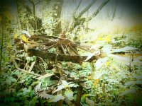 2011-10-08 13.41.33.jpg