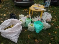 2011-10-09 12.29.37.jpg