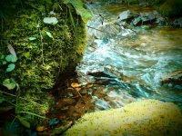 2011-10-08 13.43.40.jpg