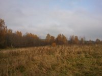 2011-10-08 13.30.58.jpg