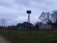 IMG_20111009_113806.jpg