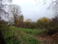 DSCF4828.JPG