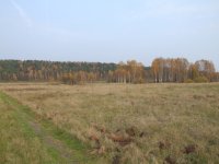 DSCF4891.JPG