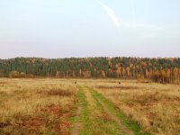 DSCF4893.JPG