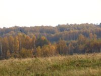 DSCF4895.JPG