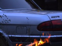 DSCF5064.JPG