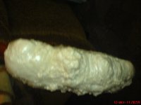 DSC01804.JPG