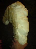 DSC01816.JPG