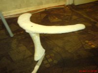 DSC01821.JPG