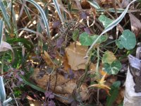 DSCF5115.JPG