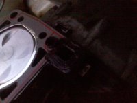 Img08_31-10-2011.jpg