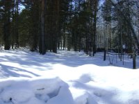 DSC01737.JPG