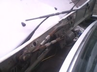 IMG0210A.jpg