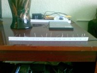07062008.jpg