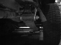 IMG527.jpg