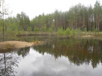 DSCN6347.JPG