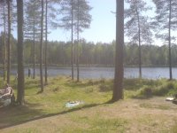 DSC00211.jpg