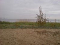 DSC00222.jpg
