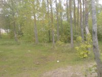 DSC00230.jpg
