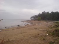 DSC00234.jpg