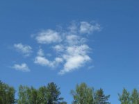IMG_3253.jpg