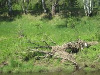 IMG_3276.jpg