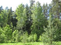 IMG_3320.jpg