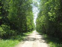 IMG_3327.jpg