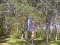 5 лет 028.jpg