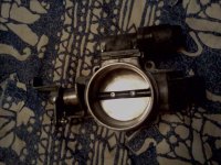 IMG_20120717_041045.jpg