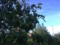 24072012150.jpg