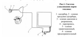SUP-1.jpg