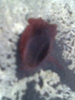 FA0090.jpg