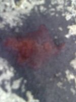 FA0091.jpg