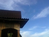 06082012171.jpg