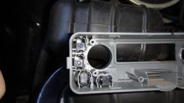 DSC01113.jpg