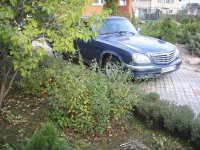 Голуба (25).JPG