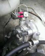 IMG0029A.jpg