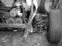 IMG547.jpg