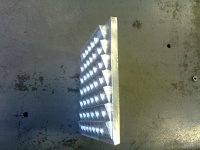 IMG1517A.jpg