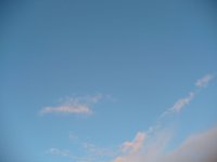 P1010565.jpg