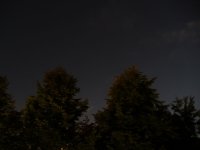 P1010596.jpg