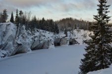 DSC_0708.jpg