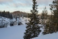 DSC_0709.jpg