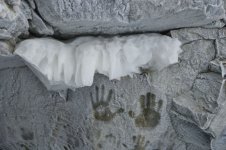 DSC_0739.jpg