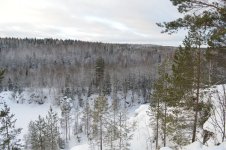 DSC_0775.jpg