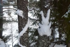 DSC_0778.jpg