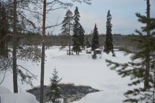 DSC_0795.jpg