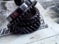IMG_20130116_202819.jpg