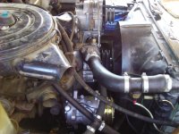 IMG_20120904_122032.jpg